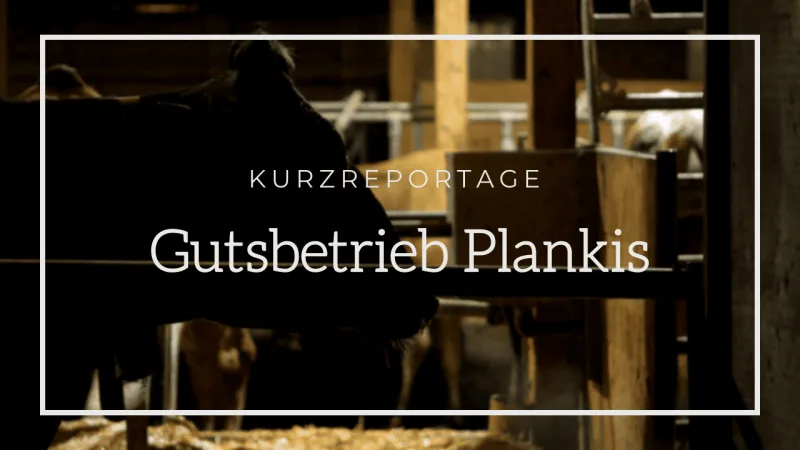Ein Tag beim Gutsbetrieb Plankis — Corporate